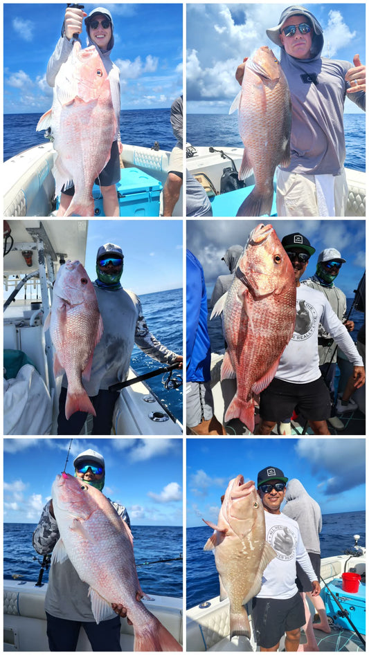 Anglers showcasing snapper and grouper catches on offshore fishing trips with saltwater jigs