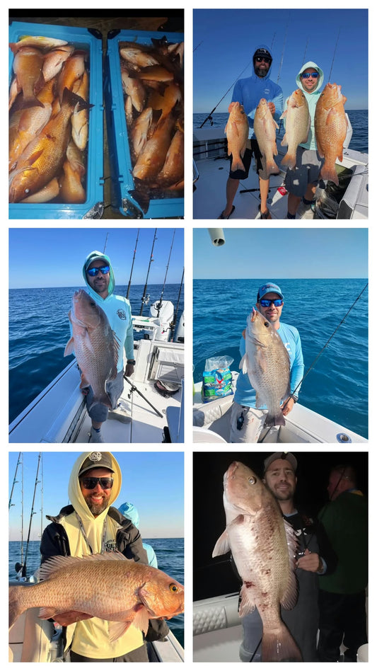 As the weather cools, the bite heats up! It's Mango and Hogfish time!
